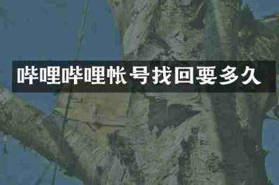 哔哩哔哩帐号找回要多久