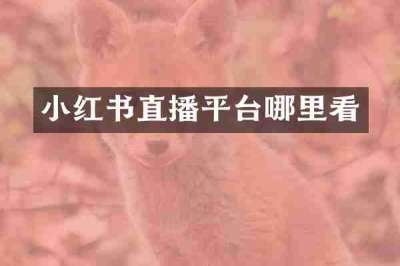 小红书直播平台哪里看