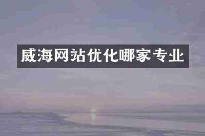 威海网站优化哪家专业