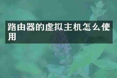 路由器的虚拟主机怎么使用