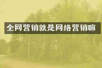 全网营销就是网络营销嘛