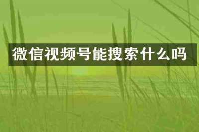 微信视频号能搜索什么吗