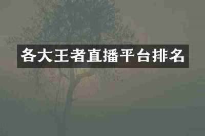 各大王者直播平台排名