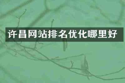 许昌网站排名优化哪里好