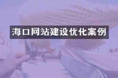 海口网站建设优化案例