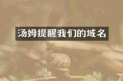 汤姆提醒我们的域名