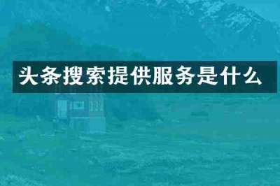 头条搜索提供服务是什么