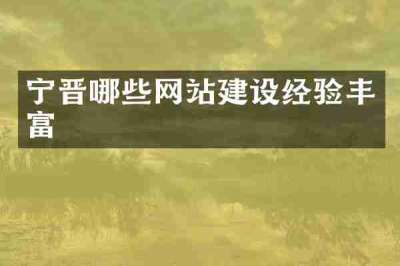 宁晋哪些网站建设经验丰富