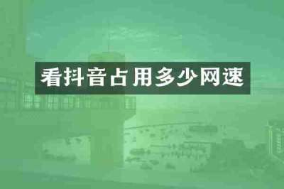 看抖音占用多少网速