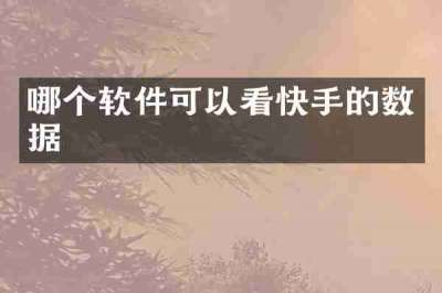 哪个软件可以看快手的数据