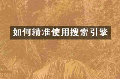 如何精准使用搜索引擎
