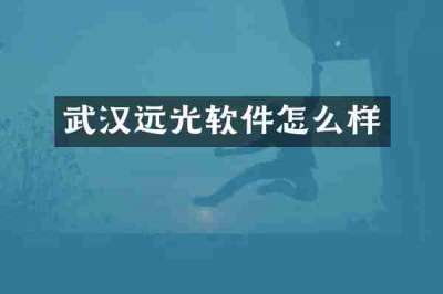 武汉远光软件怎么样