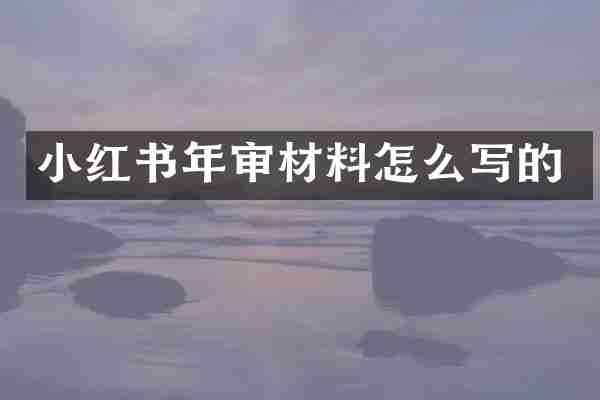 小红书年审材料怎么写的