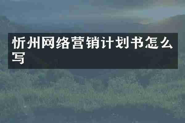 忻州网络营销计划书怎么写