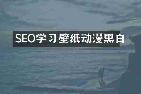 SEO学习壁纸动漫黑白