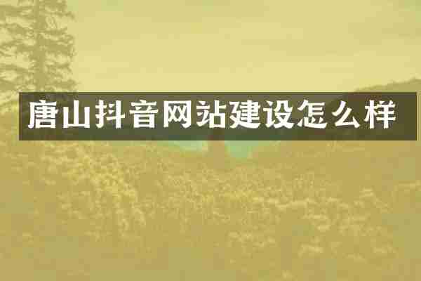 唐山抖音网站建设怎么样