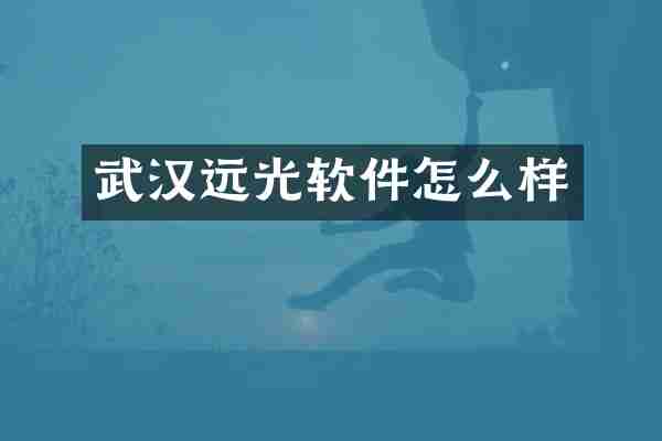 武汉远光软件怎么样