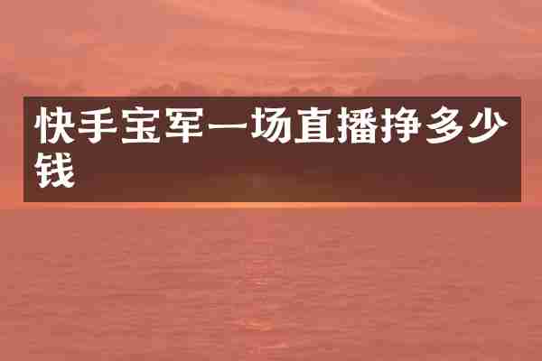 快手宝军一场直播挣多少钱
