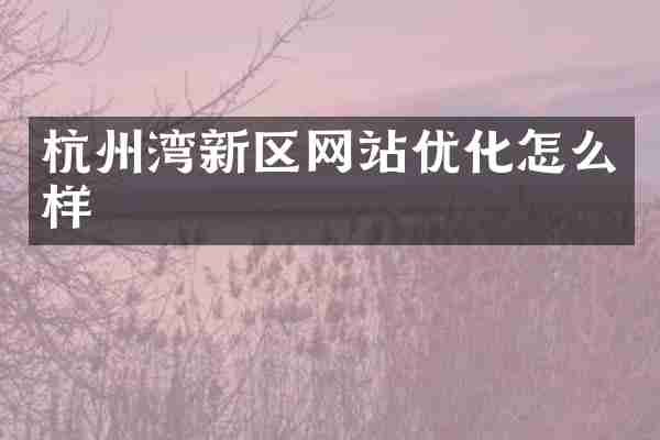 杭州湾新区网站优化怎么样
