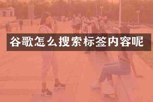 谷歌怎么搜索标签内容呢