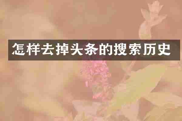 怎样去掉头条的搜索历史