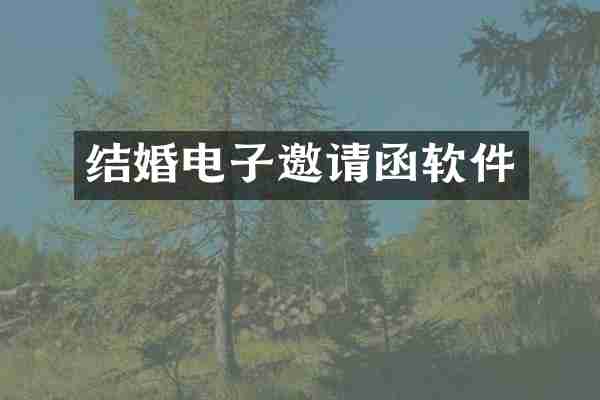 结婚电子邀请函软件