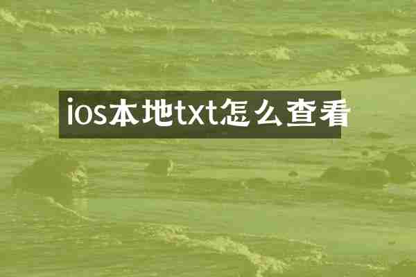 ios本地txt怎么查看