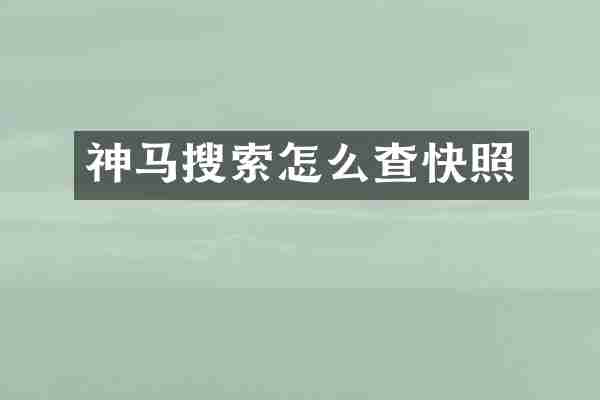 神马搜索怎么查快照