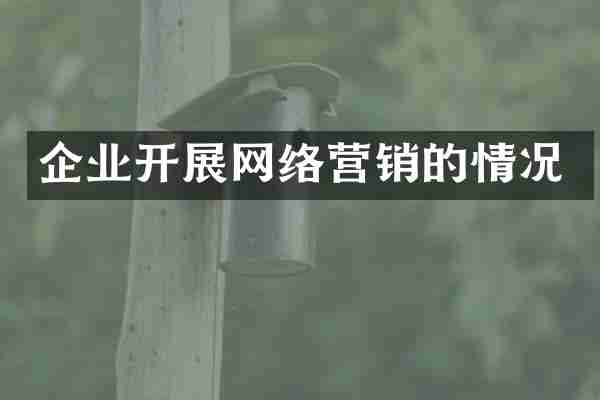 企业开展网络营销的情况