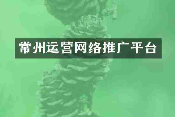 常州运营网络推广平台