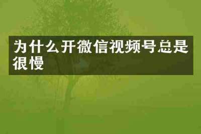 为什么开微信视频号总是很慢