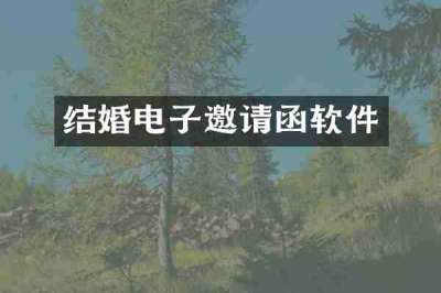 结婚电子邀请函软件