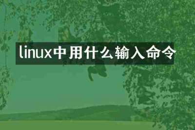 linux中用什么输入命令