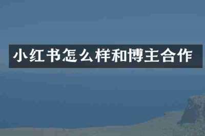 小红书怎么样和博主合作