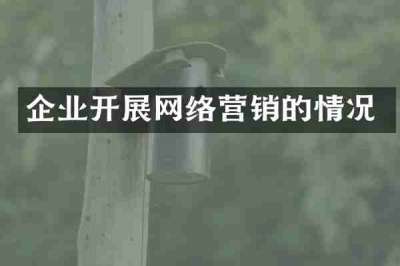 企业开展网络营销的情况
