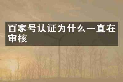 百家号认证为什么一直在审核