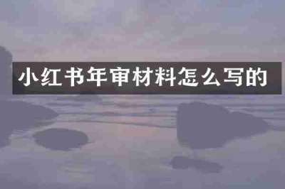 小红书年审材料怎么写的