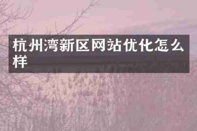 杭州湾新区网站优化怎么样