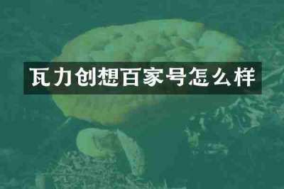 瓦力创想百家号怎么样