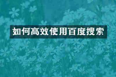 如何高效使用百度搜索