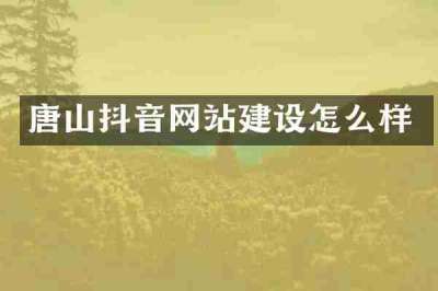 唐山抖音网站建设怎么样