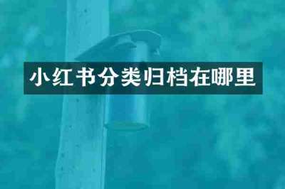 小红书分类归档在哪里