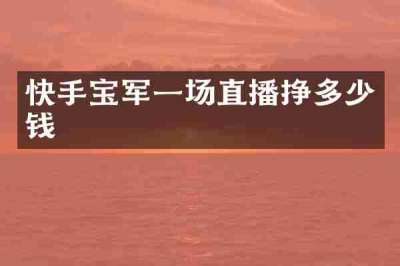 快手宝军一场直播挣多少钱