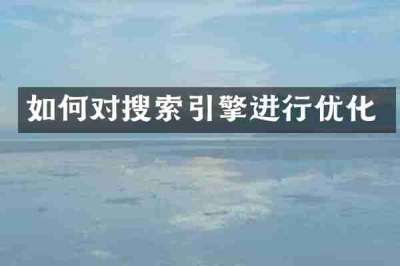 如何对搜索引擎进行优化