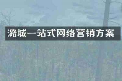 潞城一站式网络营销方案