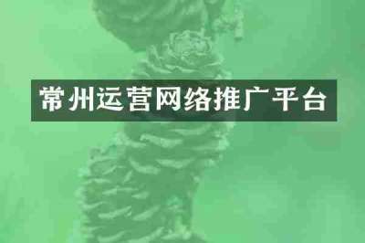 常州运营网络推广平台