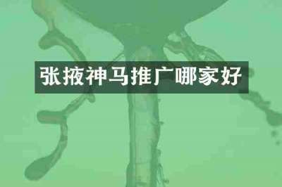 张掖神马推广哪家好