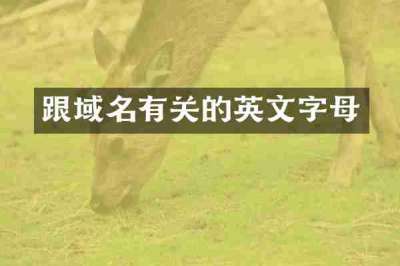 跟域名有关的英文字母