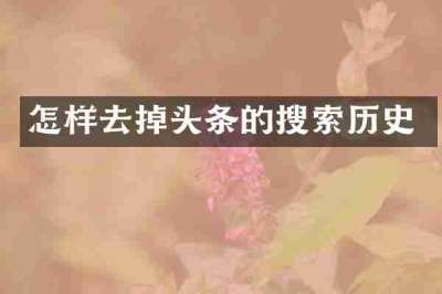 怎样去掉头条的搜索历史