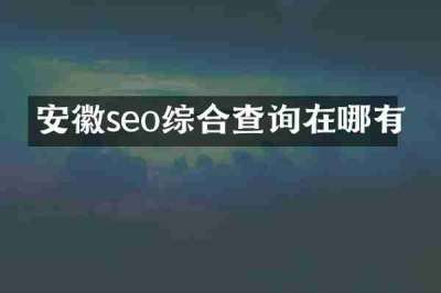 安徽seo综合查询在哪有